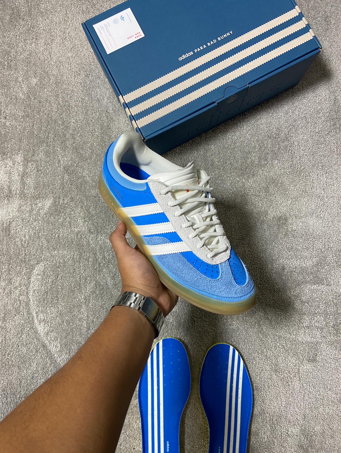 Gazelle Indoor Bad Bunny San Juan