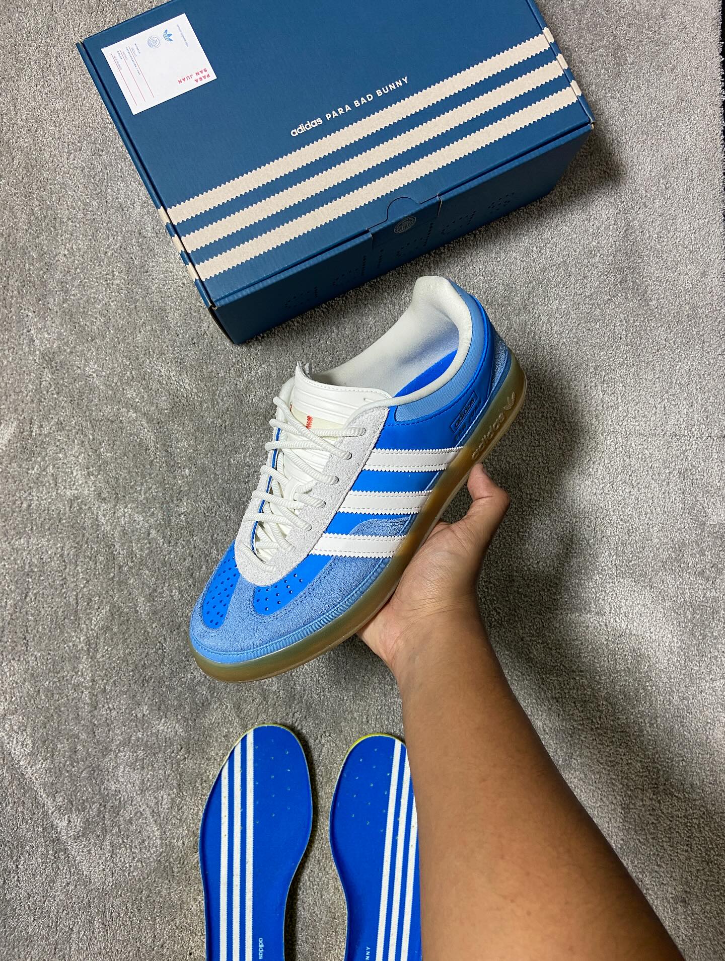 Gazelle Indoor Bad Bunny San Juan