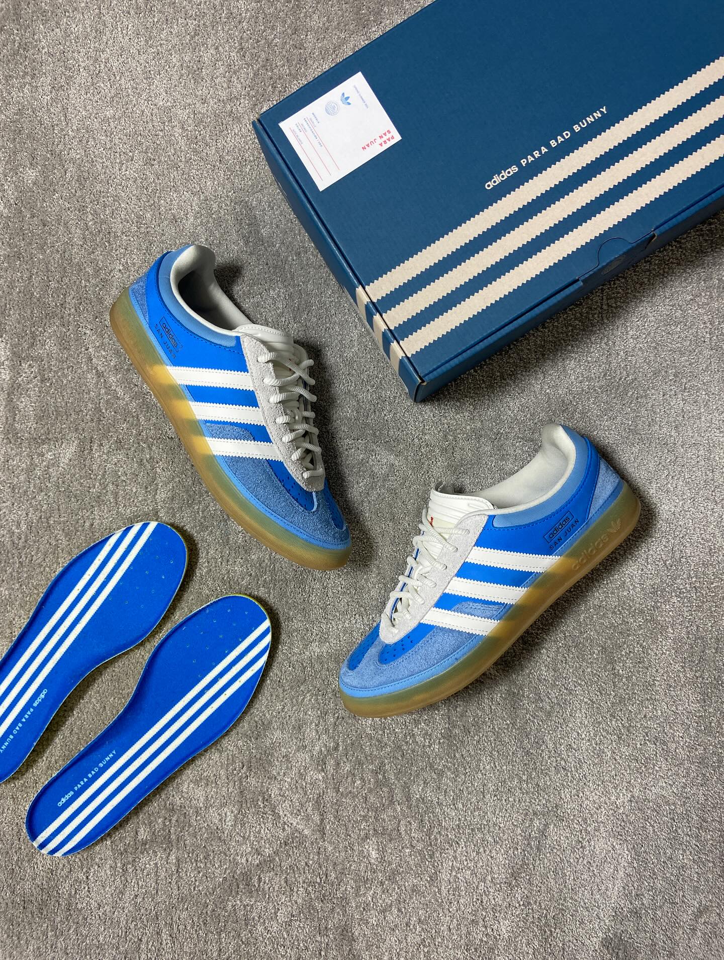 Gazelle Indoor Bad Bunny San Juan