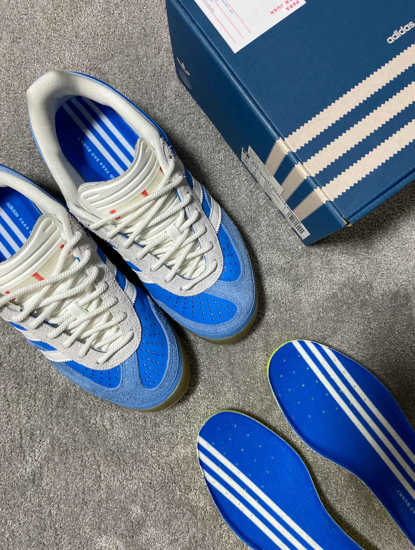 Gazelle Indoor Bad Bunny San Juan