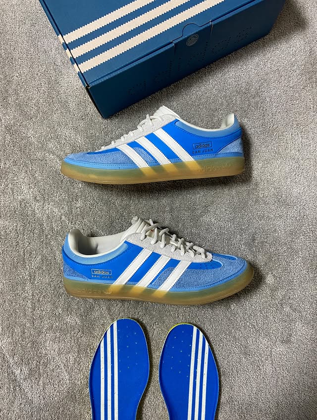 Gazelle Indoor Bad Bunny San Juan