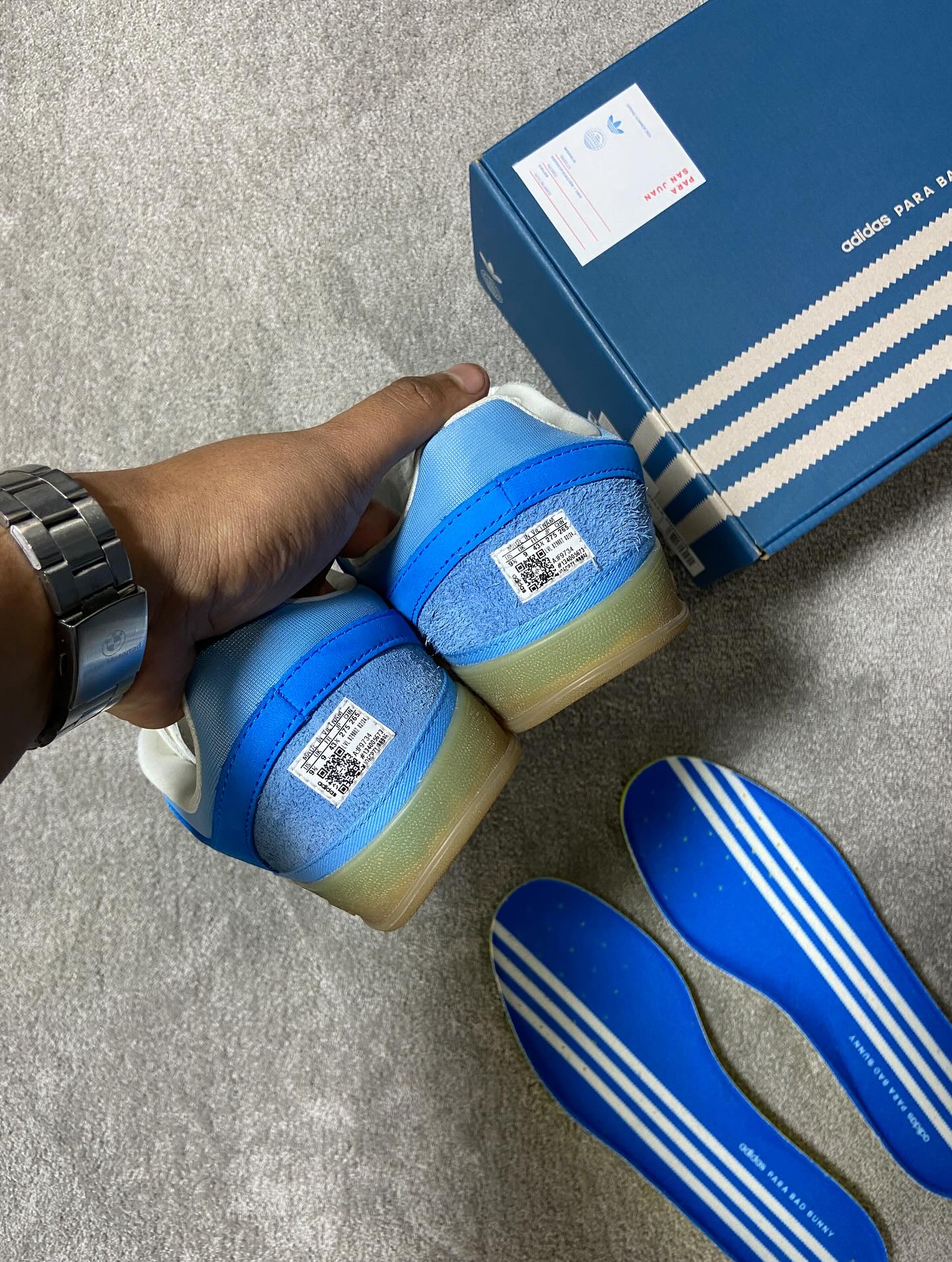 Gazelle Indoor Bad Bunny San Juan