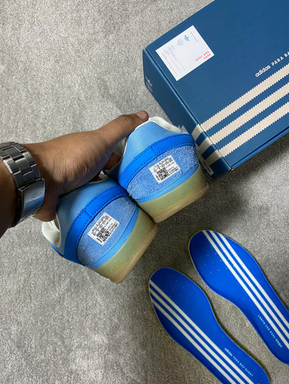 Gazelle Indoor Bad Bunny San Juan