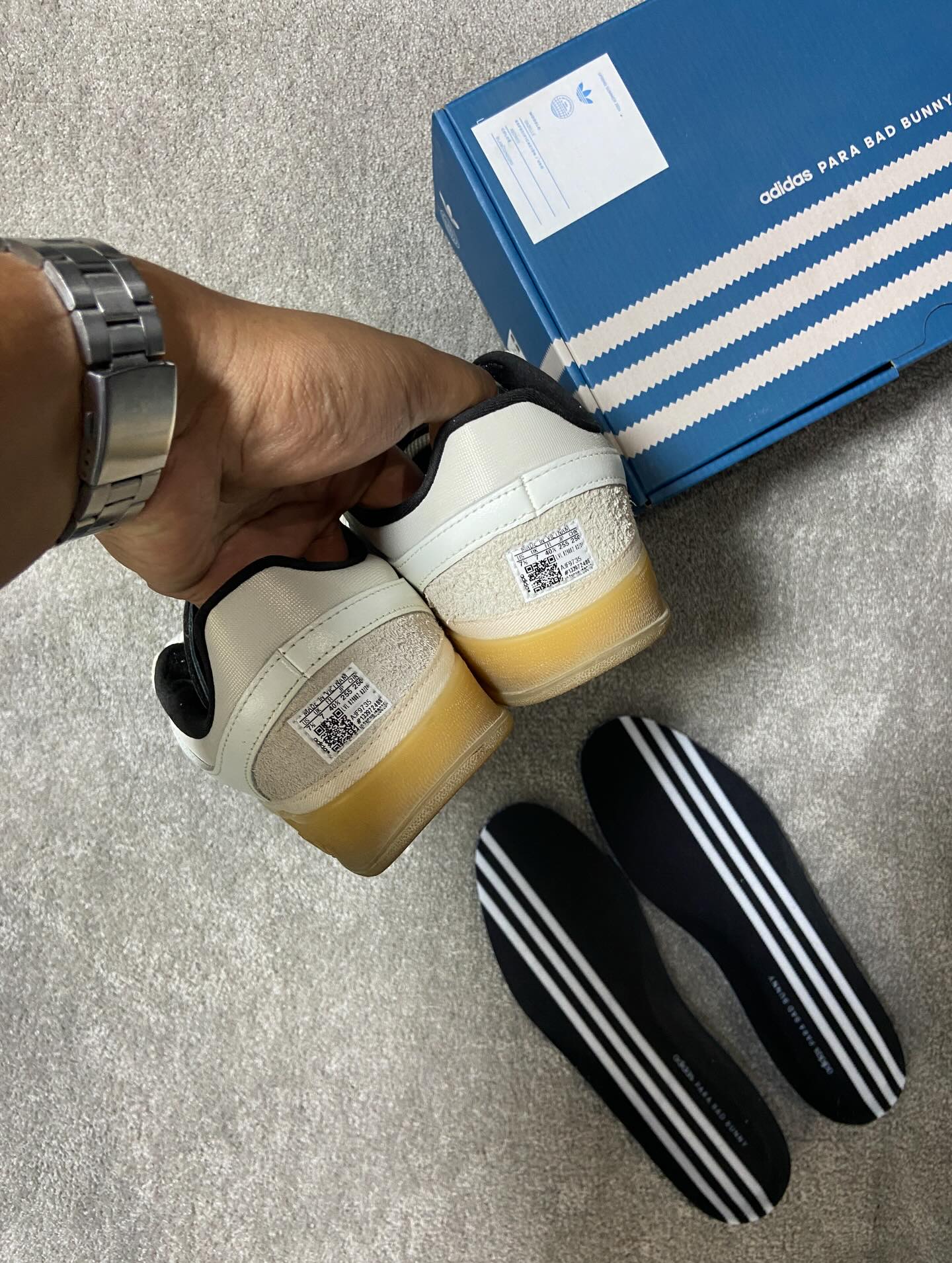 Gazelle Indoor Benito