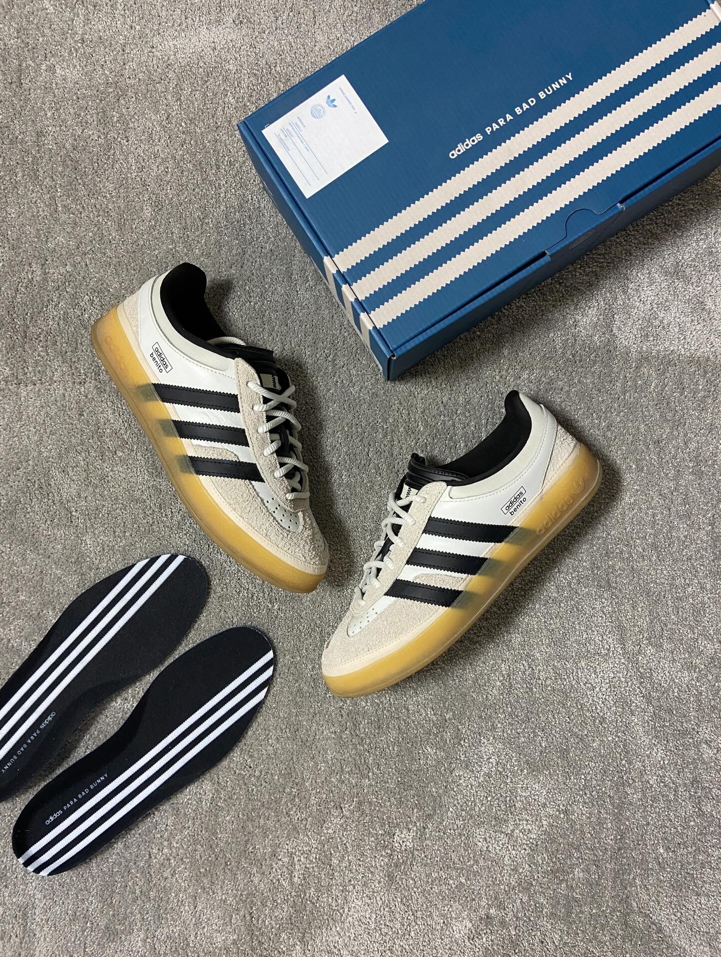 Gazelle Indoor Benito