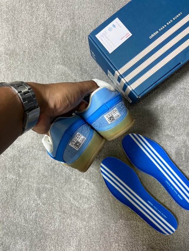 Gazelle Indoor Bad Bunny San Juan