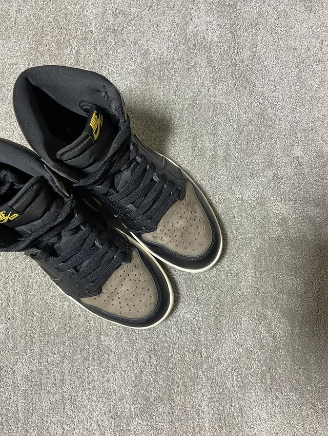 Jordan 1 Retro High Palomino