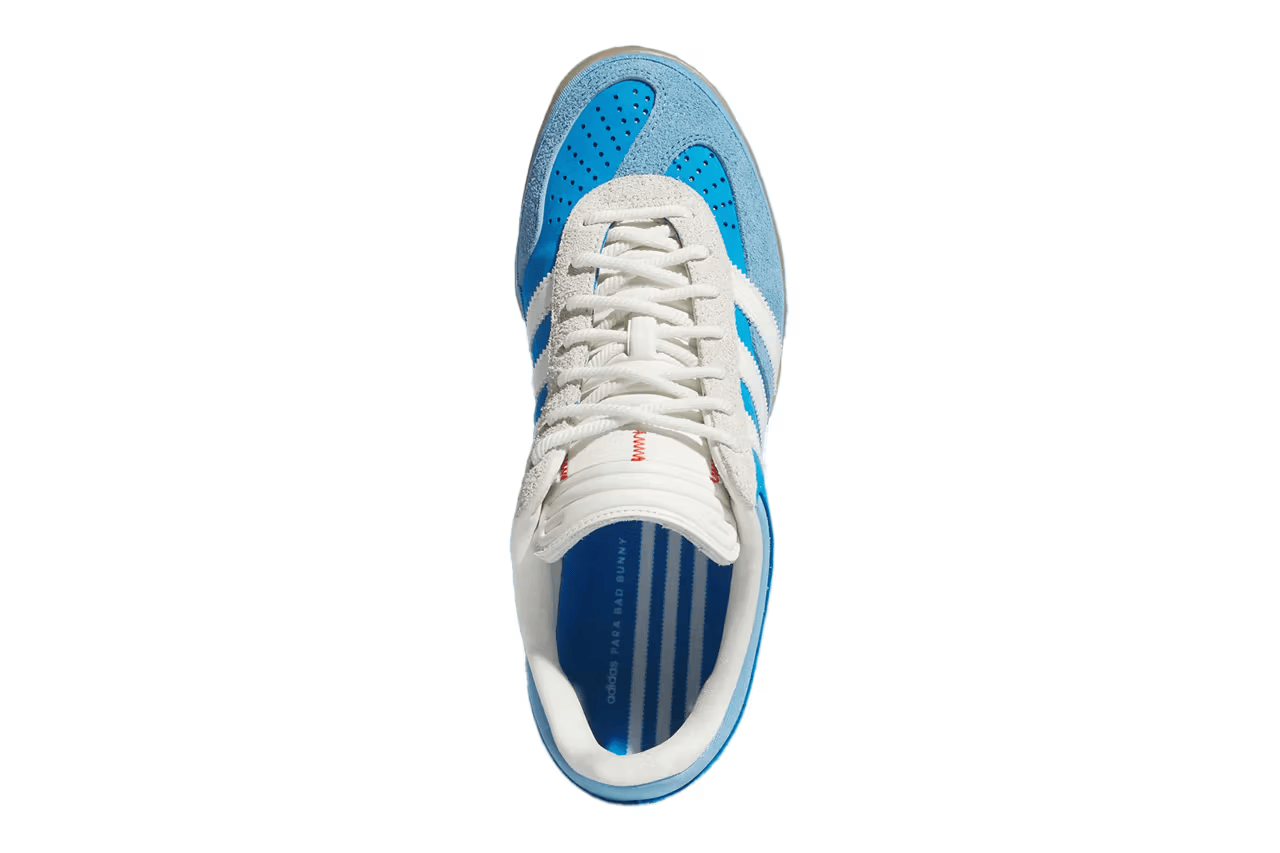 Gazelle Indoor Bad Bunny San Juan
